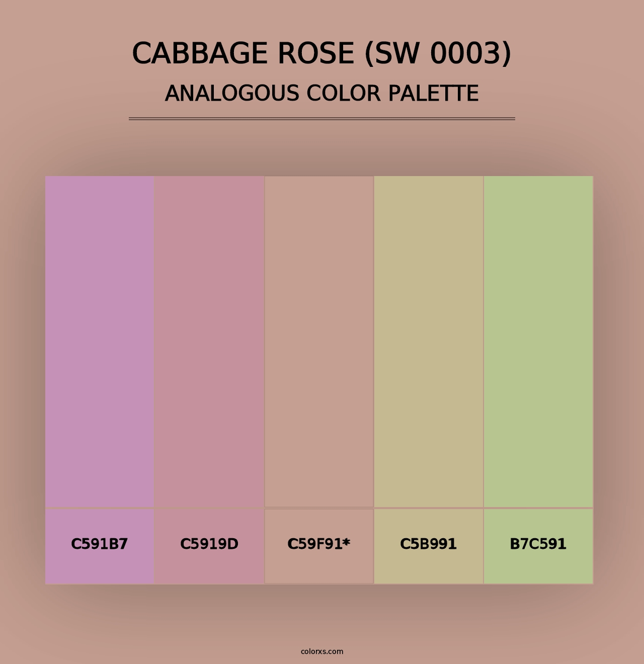 Cabbage Rose (SW 0003) - Analogous Color Palette